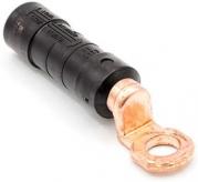 р