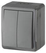 ЭРА Выключатель двойной IP54, 10АХ-250В, ОУ, Эксперт, серый 1/16