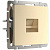 Веркель Розетка Ethernet RJ-45 (шампань)W1181011